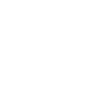 R1SE
